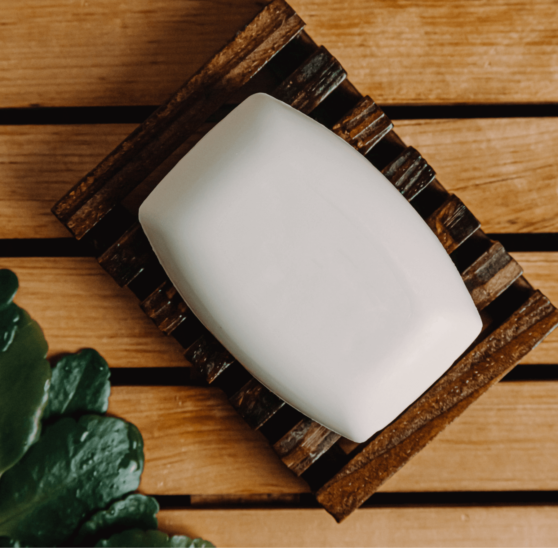 (Sample) Coconut Bar Soapj